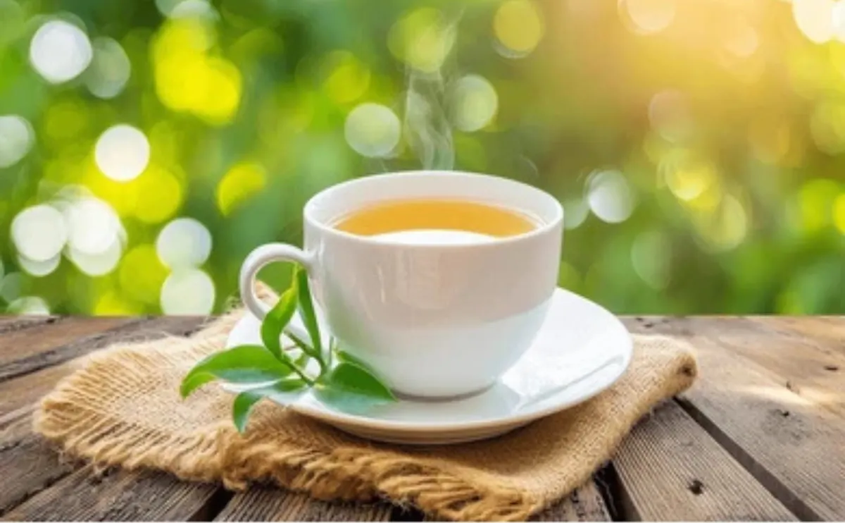 Why Royal Assam Chai Is the Perfect Tea for Your Daily Routine Benefits & Flavor